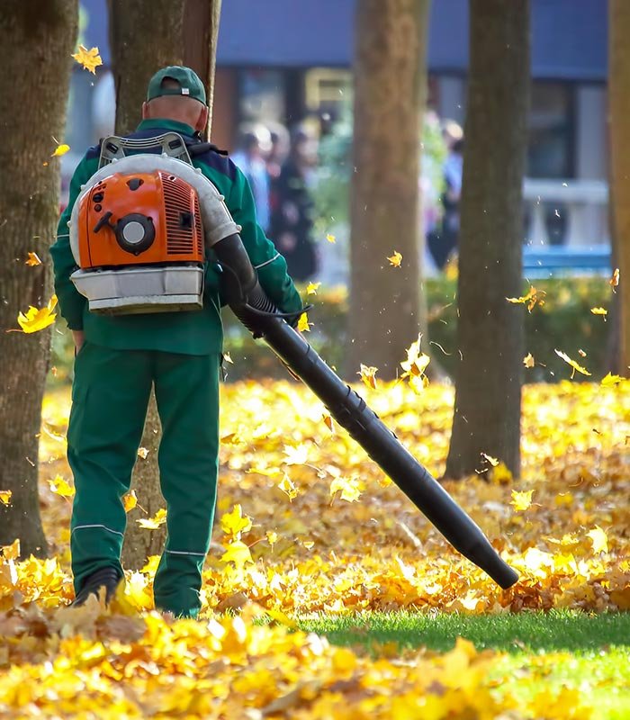Residential Fall Cleanup Services