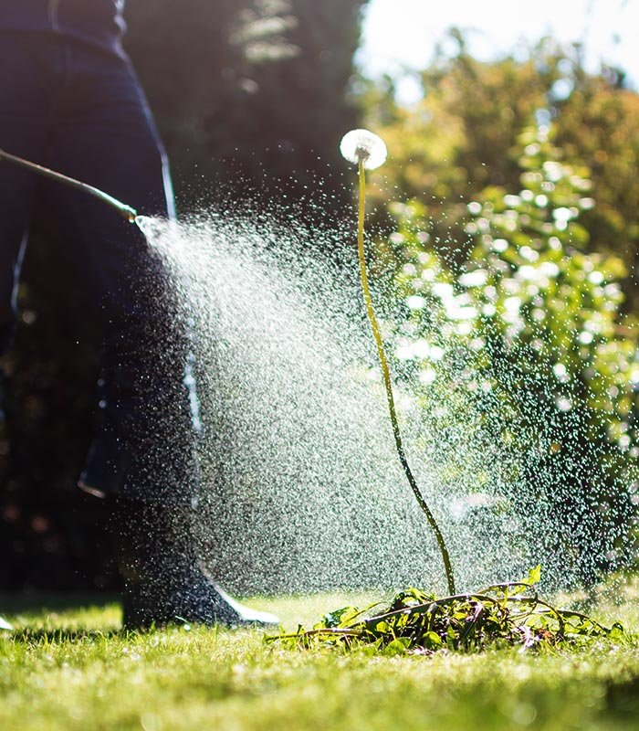 Weed Control Services