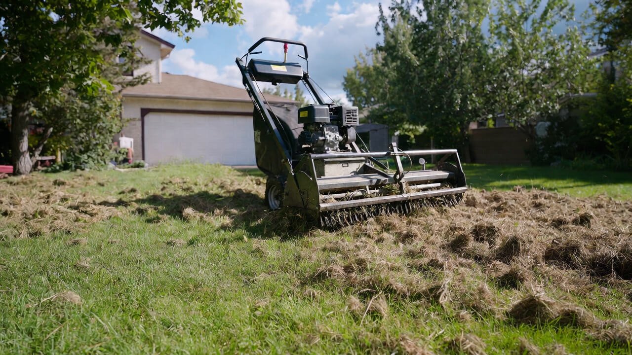 Dethatch Lawn Edmonton